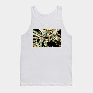 Welwitschia Plant Tank Top